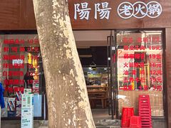 -阳阳老火锅(小南门店)