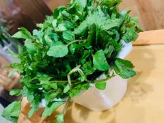 西洋菜-烹然四季椰子鸡火锅(团结湖总店)