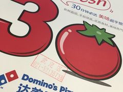 -达美乐比萨(武定店)