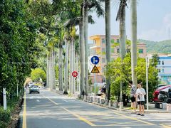 -西涌国际滨海旅游区