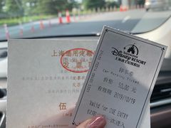 -迪士尼乐园停车场