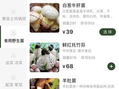 -菌极鲜野生菌火锅店(阳明祠店)