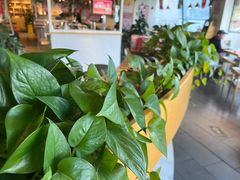 -嘉和一品粥(方庄店)