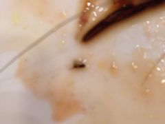iphone_upload_pic-宁邦·家宴·南京菜(红山动物园店)