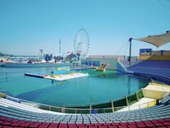 -秦皇岛乐岛海洋王国