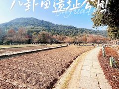 -八卦田遗址公园