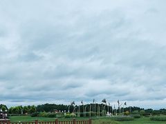 -空港花田景区