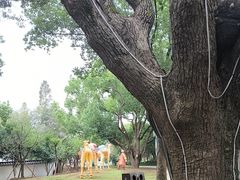 -无锡梅园公园