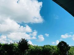 -麦德龙(浦东店)