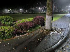 -浙江大学(玉泉校区)