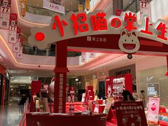 -首开·龙湖成都西宸天街