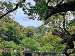 -上坦村