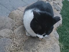 -陆家嘴世纪金融广场