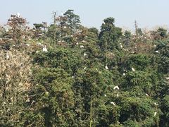 -象山森林公园