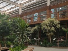 -南宫五洲植物乐园