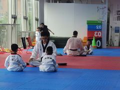 -陈中跆拳道(中关村馆)