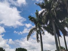 -石炮台公园