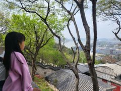 -云龙山