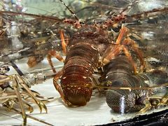 -沙田台山海鲜·酣客酒窖