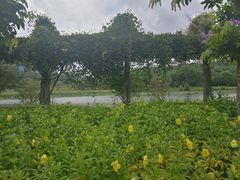 -广西壮族自治区药用植物园