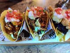 -Famous肥猫墨西哥音乐餐吧(五棵松华熙LIVE店)