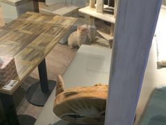 -小时光咖啡馆(开森度假森林店)