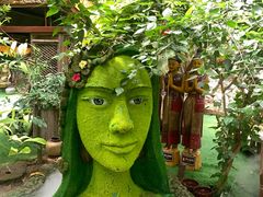 -呀路古热带植物园