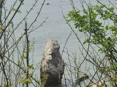 -大连金石滩滨海国家地质公园