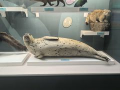 -国家自然博物馆