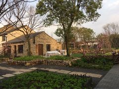 田园东方-田园东方蜜桃村的田野营地