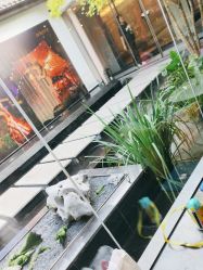-爱儿美儿童摄影(朝阳公园店)