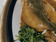 -鲐赏河豚(长寿店)