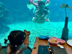 -海棠湾洲际-涛·海底餐厅·美人鱼·自助餐·海底隧道
