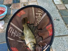 -酷鱼垂钓CLUB(朝阳区博大路店 )