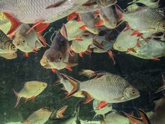 -太平洋海底世界