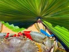 -亚特兰蒂斯·蟹餐厅 CRAB KITCHEN·鲜活海鲜