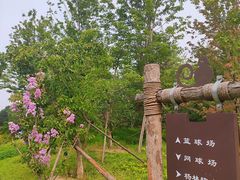 -回龙观体育文化公园