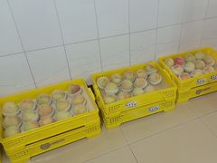 -老袁家蜜桃农场·阳山水蜜桃