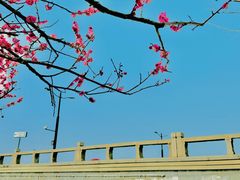 -苏州古运河游船(新市桥码头)