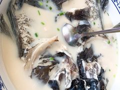 -全乐鱼馆·淳牌有机鱼直营店