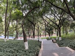 -龙头寺公园