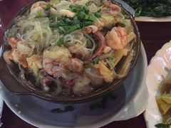 -中华茉莉园