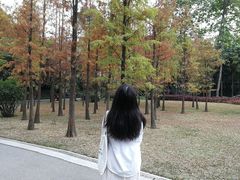 -晓港公园