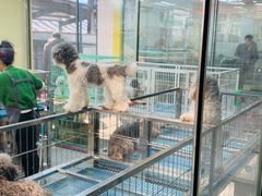 -山东柏宁水族批发广场