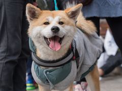 -太平洋数码广场