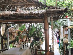 -Jungle Kitchen