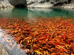 -楠溪江风景名胜区