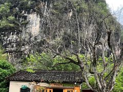 -村上春树