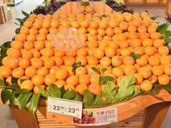 -鲜丰水果(明桂南苑店)