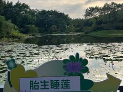 -云溪植物园